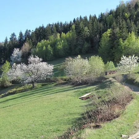 Pod 7 Lipami Jaworzna