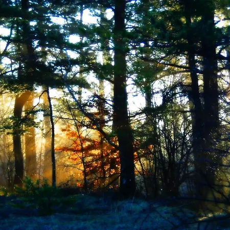 Pod 7 Lipami Jaworzna