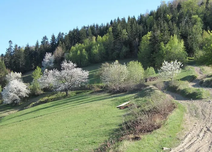 Pod 7 Lipami Jaworzna