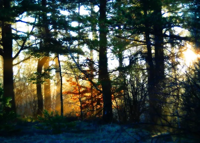 Pod 7 Lipami Jaworzna